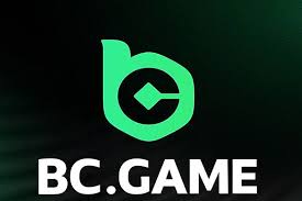 Understanding BC.Game Verification A Comprehensive Guide 805504440 Understanding BC.Game Verification A Comprehensive Guide 805504440